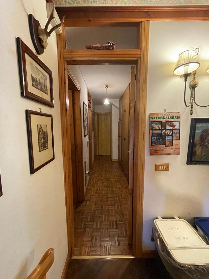 La Veranda Nella Neve - Camigliatello Silano Kültér fotó