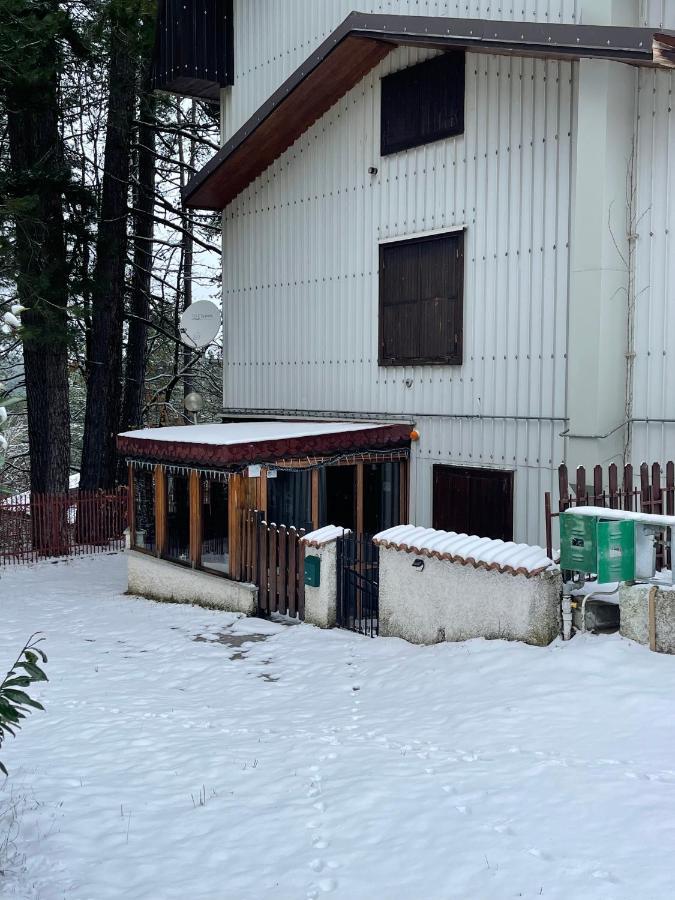 La Veranda Nella Neve - Camigliatello Silano Kültér fotó