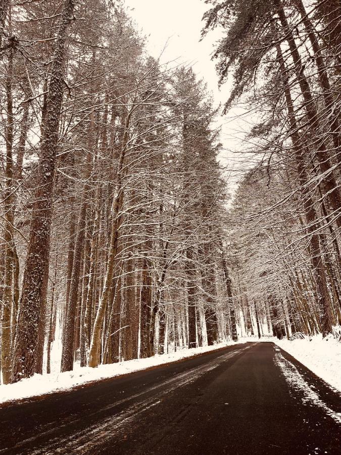 La Veranda Nella Neve - Camigliatello Silano Kültér fotó